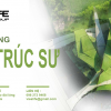Tuyển dụng kiến trúc sư